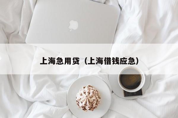 上海急用贷（上海借钱应急）